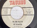 DOOWOP45 SPLENDORS TAURUS 101 THE ECHO TELLS ME / THE GOLDEN YEARS
