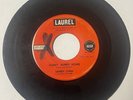 Sandy Lynn 1961 DOO WOP TEEN 45 Hurry Hurry Home/Little Johnny LAUREL DJ VG HEAR