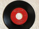 THE LEMON DROPS  - I LIVE IN THE SPRINGTIME , rock GARAGE PUNK ILLINOIS - RARE