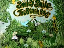 The Beach Boys Smiley Smile 1967 1st Press BROTHER STEREO ST-9001 (LP FAIR COND)