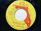 The Undertakers Searching/Reason Why 45 Florida Garage Band 1967 Pine Hills