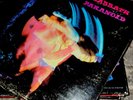 PARANOID / BLACK SABBATH 1970 WARNER BROS LP WS 1887 Green Label