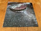 HOLLAND Little Monsters LP Vinyl 1985 Max Carl German 1st Press