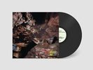 JOSEPH DECOSIMO - BEEHIVE CATHEDRAL - Vinyl Record VL - Z3447z