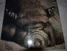 Kin Ping Meh - Kin Ping Meh No.2 LP Vinyl Schallplatte Original von 1972