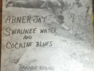 Abner Jay – Swaunee Water And Cocaine Blues LP, Vinyl 1970