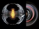 PEARL JAM Dark Matter Zoetrope Blood Records Exclusive Limited /1000 PRESALE