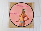 SAMANTHA FOX rare Picture Disc Special Collector's Edition 1986 Touch me