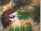 PINK FLOYD A SAUCERFUL OF SECRETS 1968 UK COLUMBIA VINYL LP SCX 6258