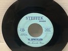 HOLY GRAIL 1967 TX. Garage 45 LAVENDER HOUR - So Sophisticated On Steffen VG+