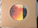 JULIEN BAKER - Tokyo b/w Sucker Punch, 7