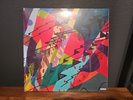 Kid Cudi Signed Autographed  INSANO Vinyl 2LP Album Art By KAWS IN HAND