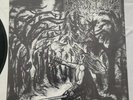 Graveland - Carpathian Wolves First Press Vinyl Black Metal