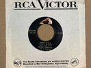 ELVIS PRESLEY - ANYONE/ BAREFOOT BALLAD - PHILIPPINES PINK RCA DOG 7