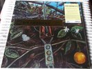 DRAGONFLY - S/T 1968 COLORADO HEAVY PSYCH ROCK w/ FUZZ GUITAR GUERSSEN NEW LP