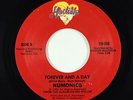70s Soul 45 - Numonics - Forever And A Day - Hodisk VG+