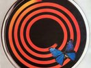 Solution Cordon Bleu NEAR MINT The Rocket Record Compa Vinyl LP
