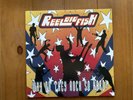 Reel Big Fish Why Do They Rock So Hard 2LP Red  VG+ RARE