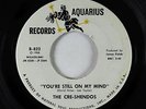 Northern Soul 45 - Cre-Shendos - You're Still On My Mind - Aquarius VG++