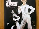 David Bowie Limited Edition Pink Splatter Vinyl LP Future Legend
