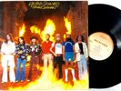 Lynyrd Skynyrd Soul Survivors Flames Cover  [MCA Vintage] Vinyl LP Record Album