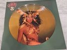 VINTAGE ORIGINAL VINYL RECORD CHER TAKE ME HOME  PICTURE DISC 12