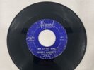 BOBBY GARRETT - MY LITTLE GIRL rare US 1966 ORIGINAL / NORTHERN SOUL 45 RPM