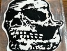 Jerome's Dream orchid White Skull 10