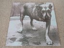Alice In Chains Self Titled Tripod Album Rare Coloured 2x Vinyl 1995