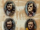 The Wolfe Tones Let The People Sing NEAR MINT Dolphin Records Vinyl LP