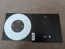 catfish and the bottlemen - Fallout