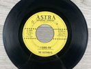 The Castaways I Found You / Hey There 45 RPM 7” Vinyl Astra Records