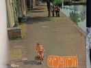 LP  SOLUTION - Solution    Dutch Catfish