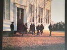 COWBOY JUNKIES The Caution Horses BMG/RCA MINT Stereo LP Album