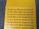 Section 25 Always No Sehr Rare LP