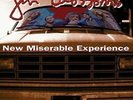 New Miserable Experience by Gin Blossoms LP Vinyl Record 2017 A&M New and Sealed