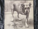 Alice in Chains Alice in Chains/Tripod Black 2xLP Vinyl. Original Pressing
