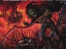 Iron Maiden From Fear To Eternity - the Best of 1990-2010 triple LP vinyl Europe