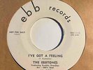 Doo Wop R&B 45 THE EBBTONES I've Got A Feeling/Danny's Blues Ebb Promo RARE Hear