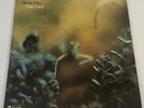 LP Steely Dan Katy Lied ABCD-846 (EX/NM Vinyl)