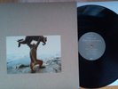 SHELLAC DUDE INCREDIBLE LP/CD steve albini big black brick layer cake touch & go