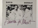 LP * DAVID MURRAY - Flowers For Albert * us 1976 * India Navigation * FREE JAZZ
