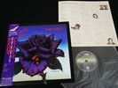 THIN LIZZY - BLACK ROSE A ROCK LEGEND - JAPAN VINYL LP OBI 17PP-2