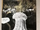 Radiohead Pyramid Song 12” Vinyl Original Parlophone 12 FHEIT 45102 A1 B1 EX EX