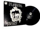 THE FABULOUS FLIPPERS POP/ROCK LP SOMETHING TANGIBLE PRIVATE LABEL VERITASRECORD
