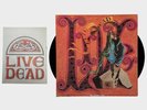 Grateful Dead - Live Dead - 1970 US Press Green Labels (EX/NM) Ultrasonic Clean