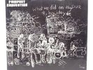 Fairport Convention – What We Did on Our Holidays 1969 LP Record (ILPS-9092) VG