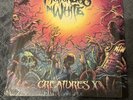 Motionless In White - Creatures X Splatter Colored Vinyl NEW