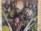 The Jungle Brothers, Straight Out The Jungle, 88 1st Warlock, WAR-2704, VG+/VG+