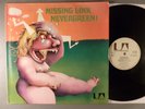 Missing Link Nevergreen  RARE  Krautrock, Prog, Jazz Rock 1972 Import